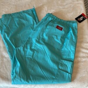 Dickies Signature Mint/Aqua Scrub Pants NWT